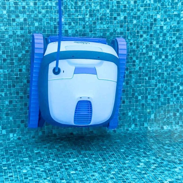 Robot Dolphin S100